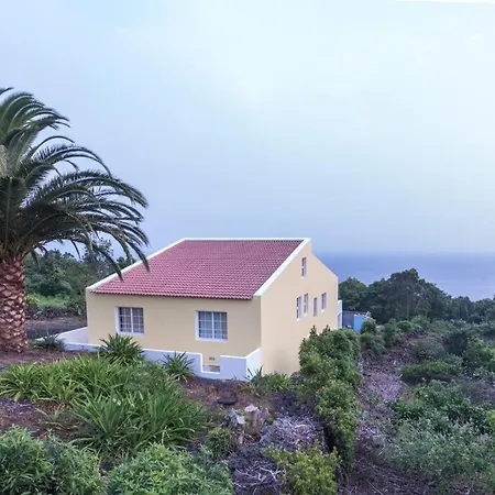 Palm Tree House Holiday home